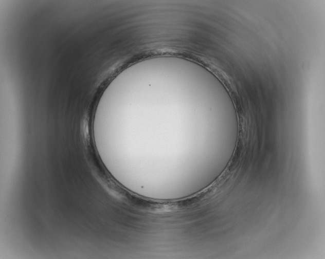 X0000113240398200909100927