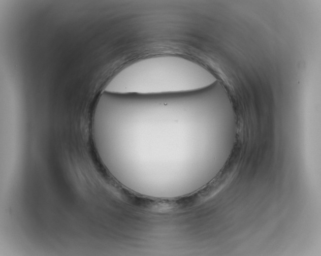 X0000113240402200909100927