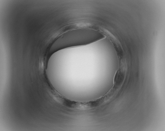 X0000113240405200909100927