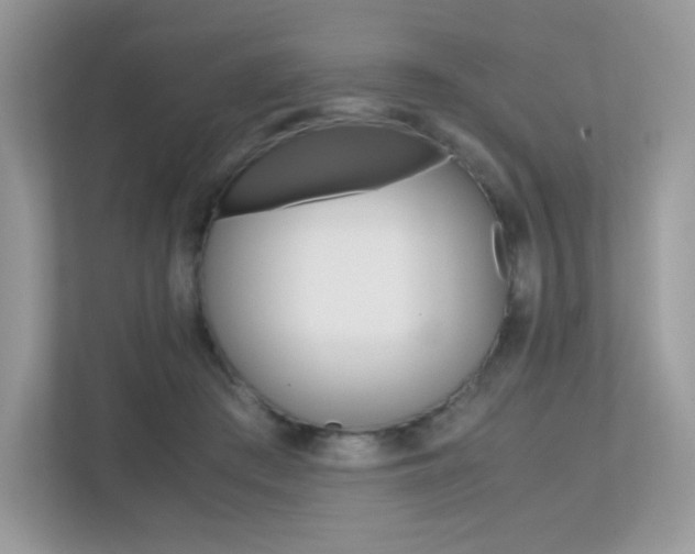 X0000113240409200909100927