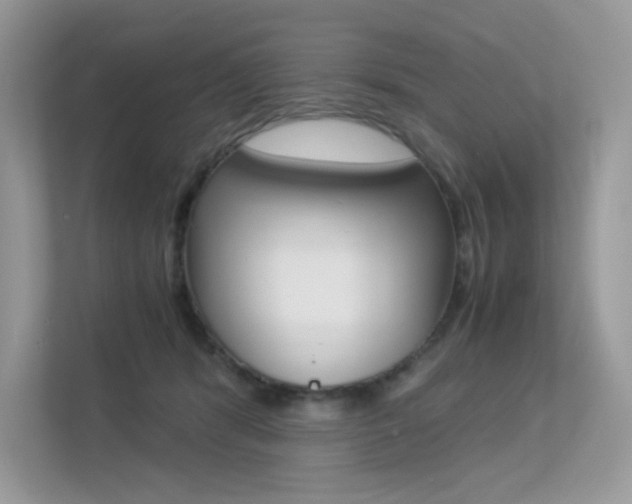 X0000113240416200909100927