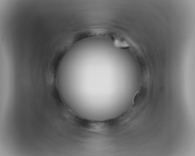 X0000113240417200909100927
