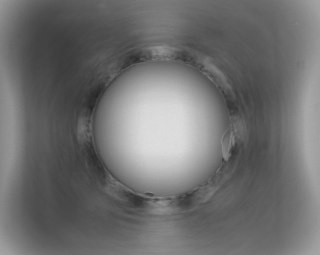 X0000113240419200909100926