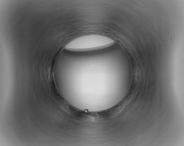 X0000113240420200909100926