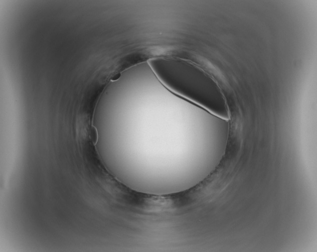 X0000113240421200909100926