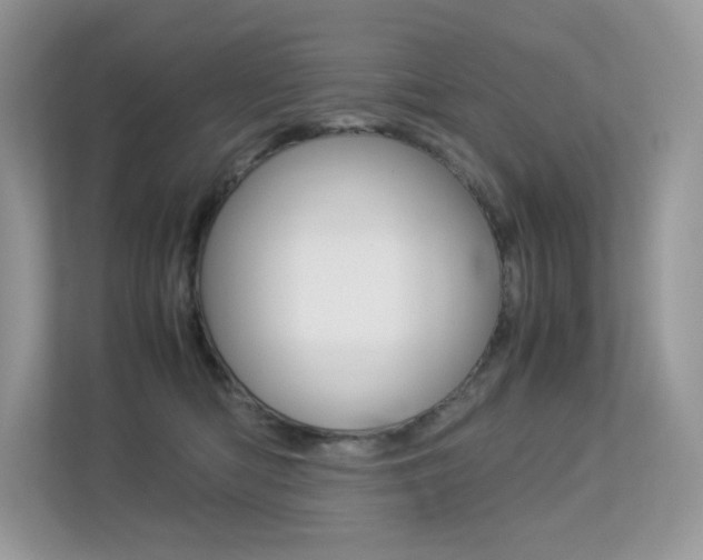 X0000113240422200909100926