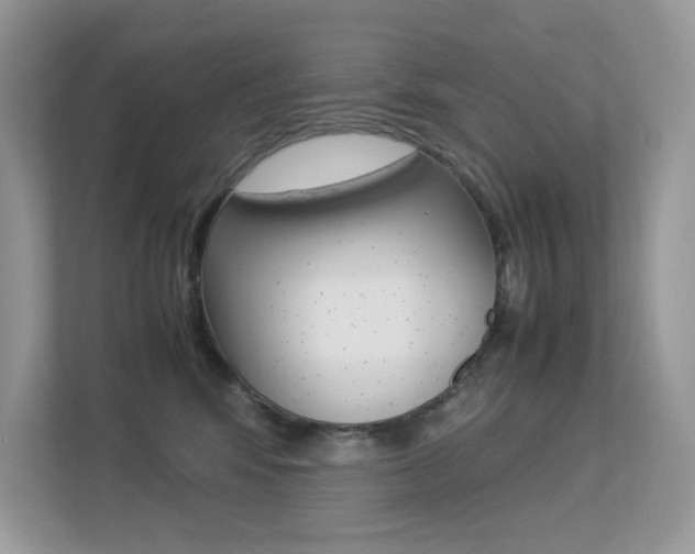 X0000113240424200909100926