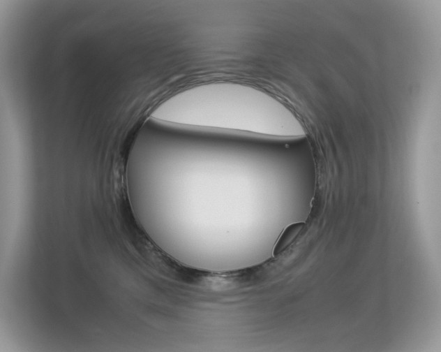 X0000113240425200909100926