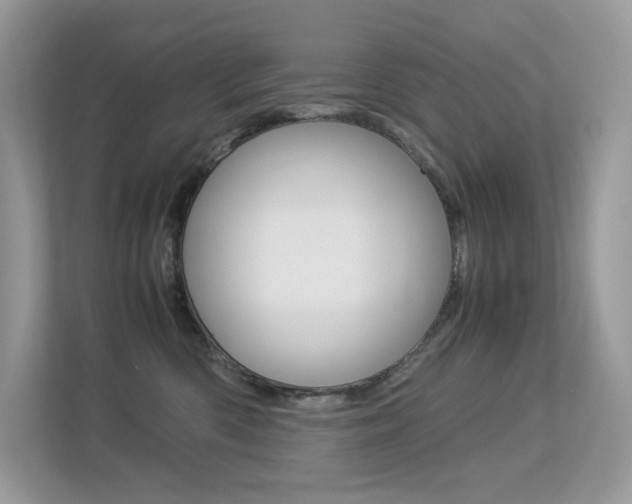 X0000113240426200909100926