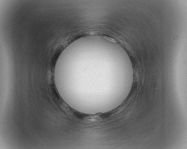 X0000113240427200909100926