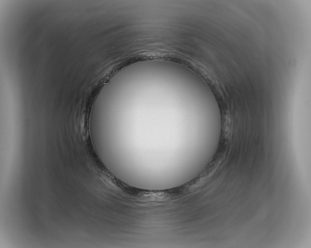 X0000113240428200909100926