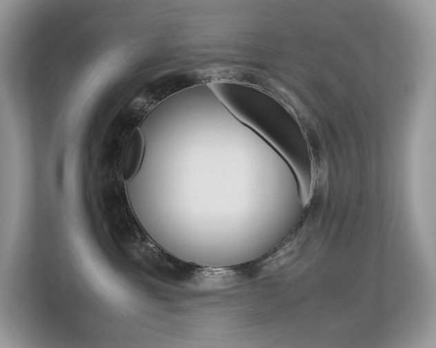 X0000113240429200909100926