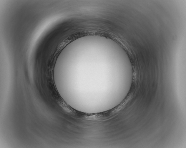 X0000113240430200909100926