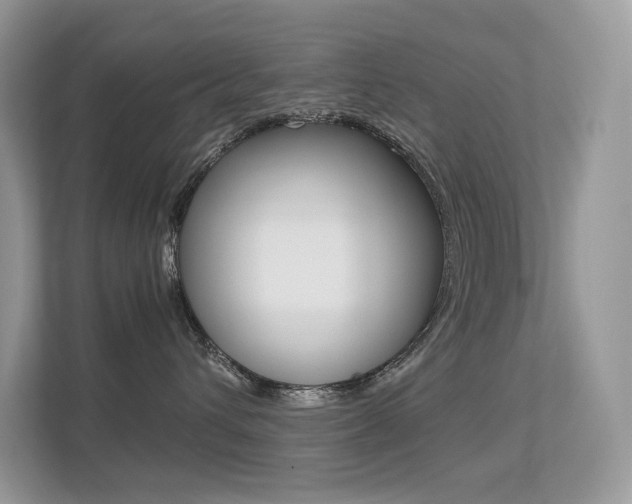 X0000113240432200909100926