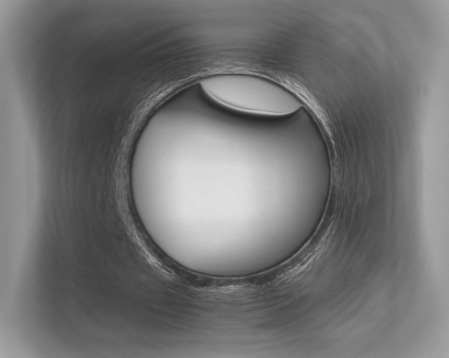 X0000113240433200909100926