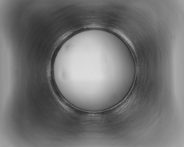 X0000113240437200909100926
