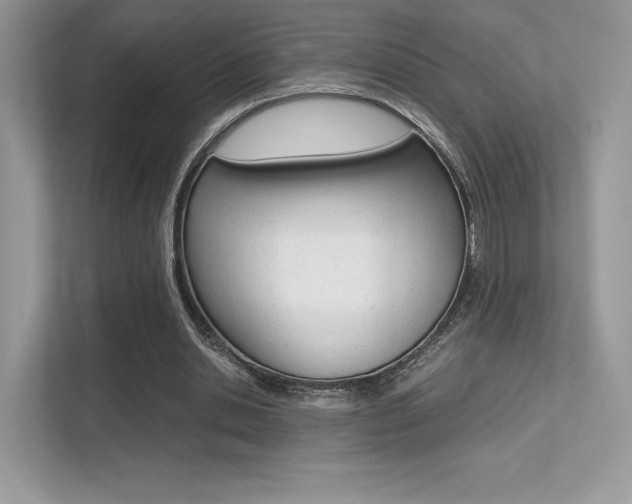 X0000113240438200909100926