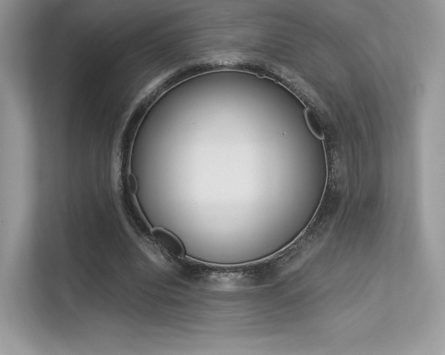 X0000113240440200909100926