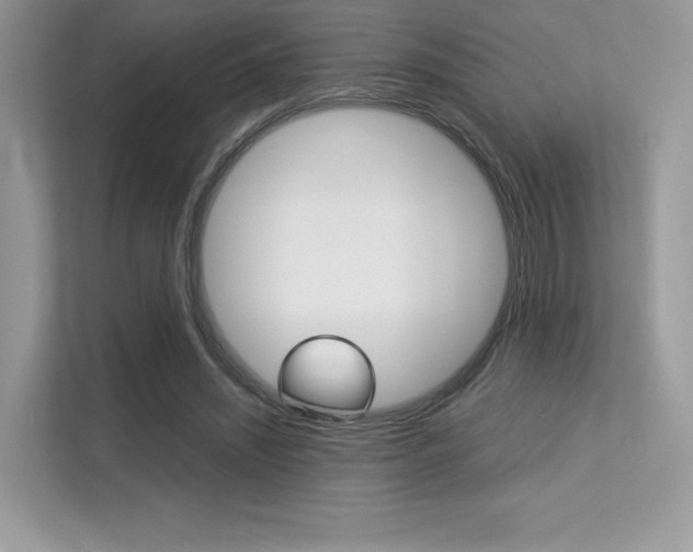X0000113240444200909100926