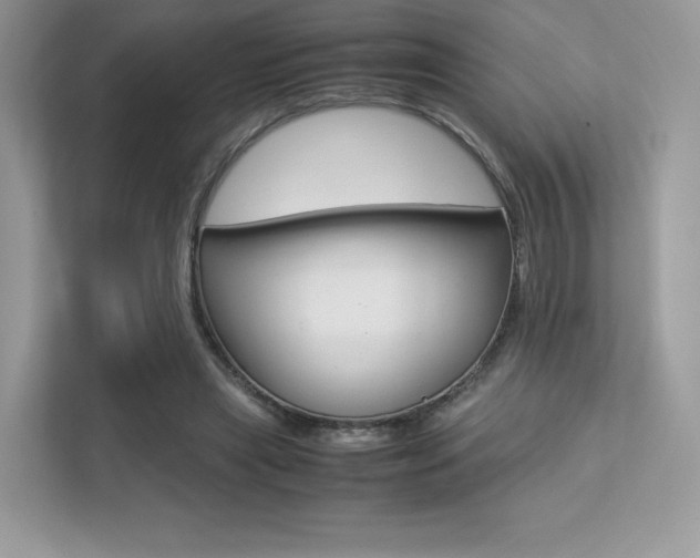 X0000113240445200909100926