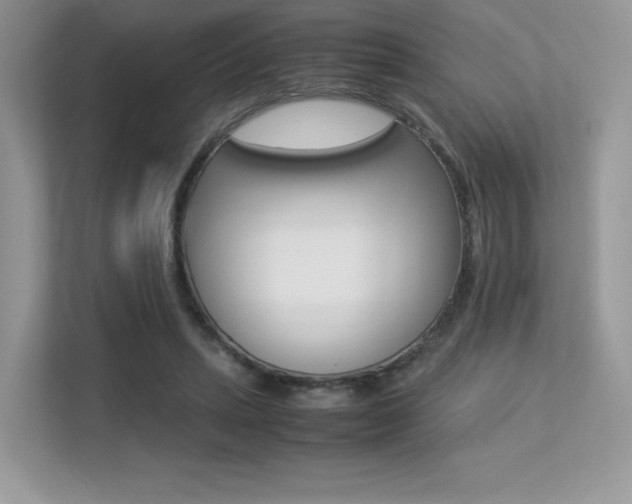 X0000113240447200909100926