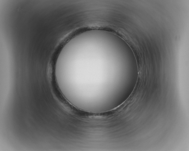 X0000113240448200909100926