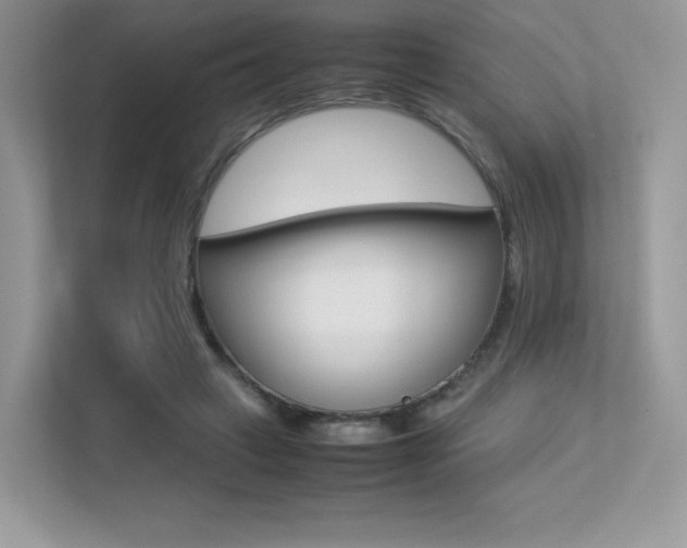 X0000113240449200909100926