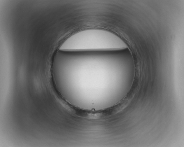 X0000113240450200909100926