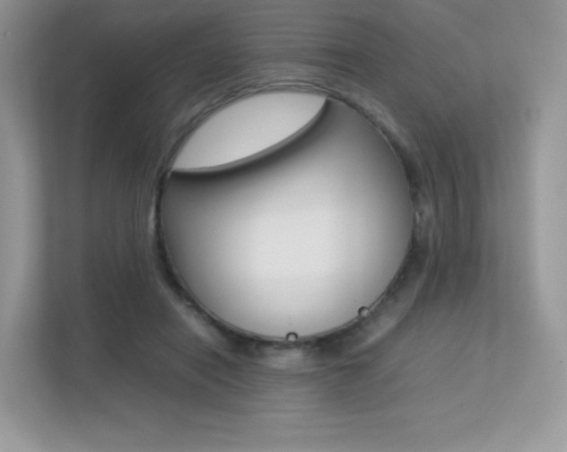 X0000113240454200909100926