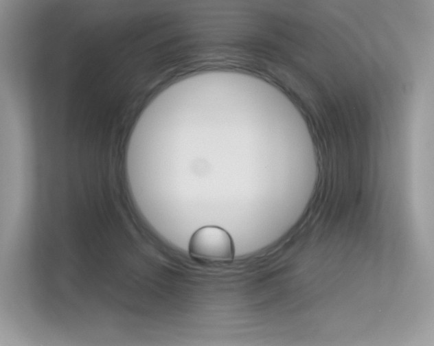X0000113240456200909100926