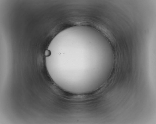 X0000113240461200909100926