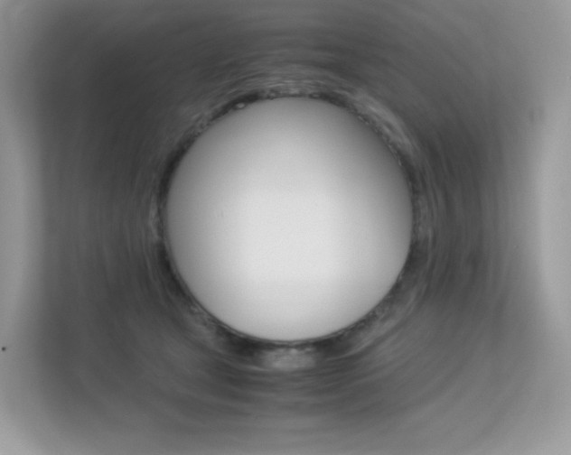 X0000113240465200909100926