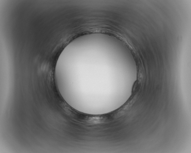 X0000113240473200909100926