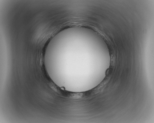 X0000113240474200909100926