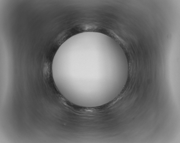 X0000113240475200909100926