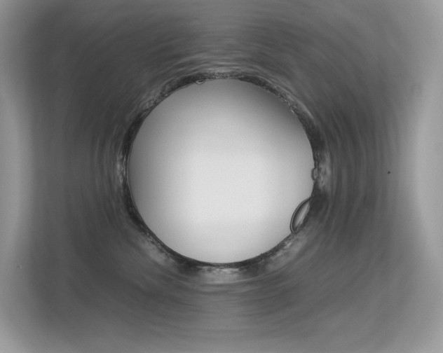 X0000113240476200909100926