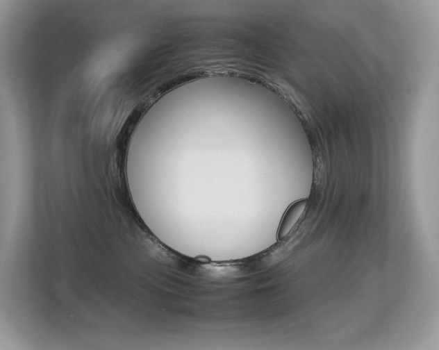 X0000113240477200909100926