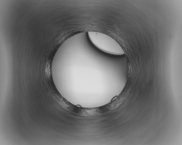 X0000113240479200909100926