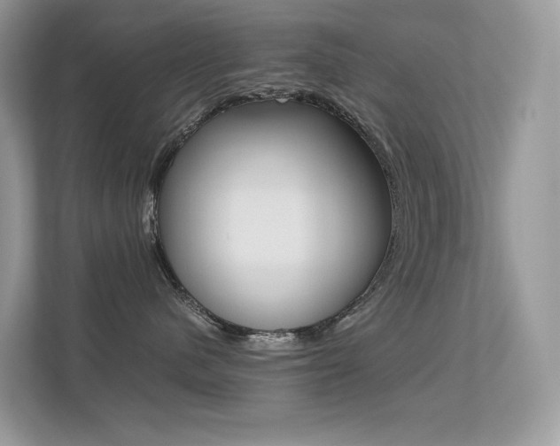 X0000113240480200909100926