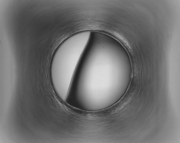 X0000113240481200909100926