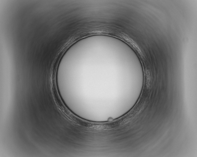 X0000113240482200909100926