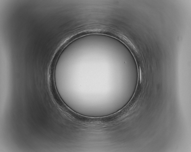 X0000113240483200909100926