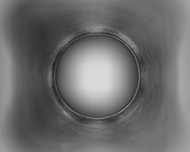 X0000113240485200909100926