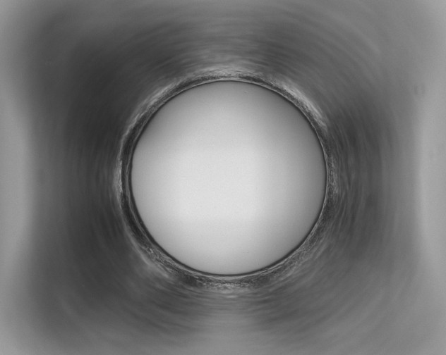 X0000113240486200909100926
