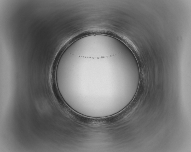 X0000113240487200909100926