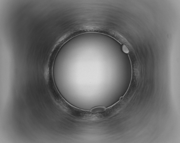 X0000113240488200909100926