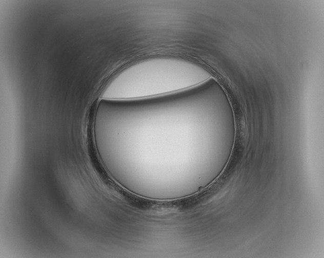 X0000113240491200909100926
