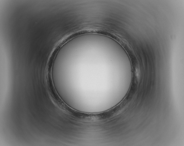X0000113240492200909100926
