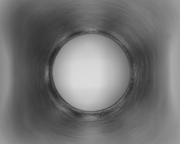 X0000113240494200909100926