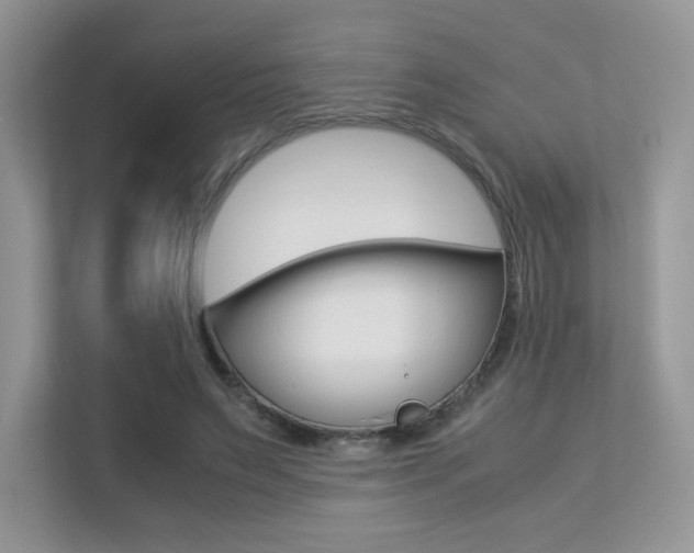 X0000113240495200909100926